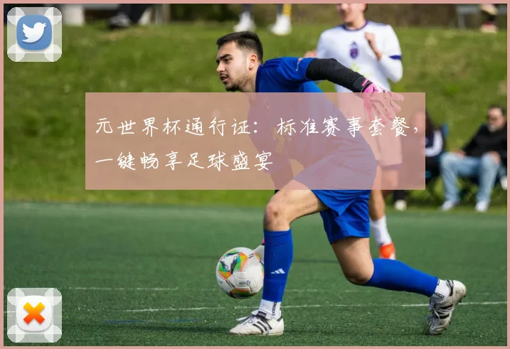 元世界杯通行证:标准赛事套餐,一键畅享足球盛宴