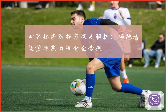 世界杯夺冠赔率深度解析:领跑者优势与黑马机会全透视