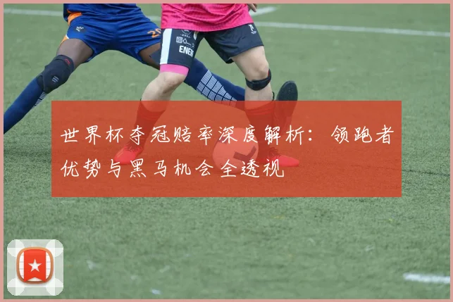 世界杯夺冠赔率深度解析：领跑者优势与黑马机会全透视